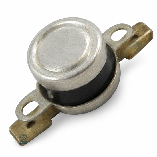 Thermostat 41010134
