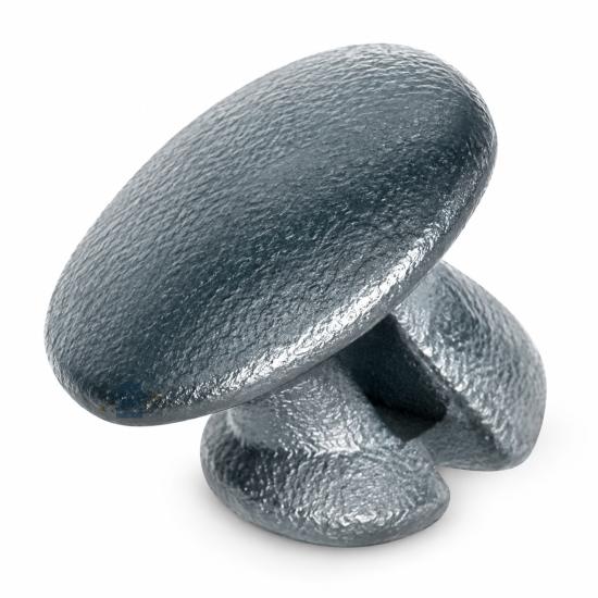 Couvercle Porte Silver FR001105