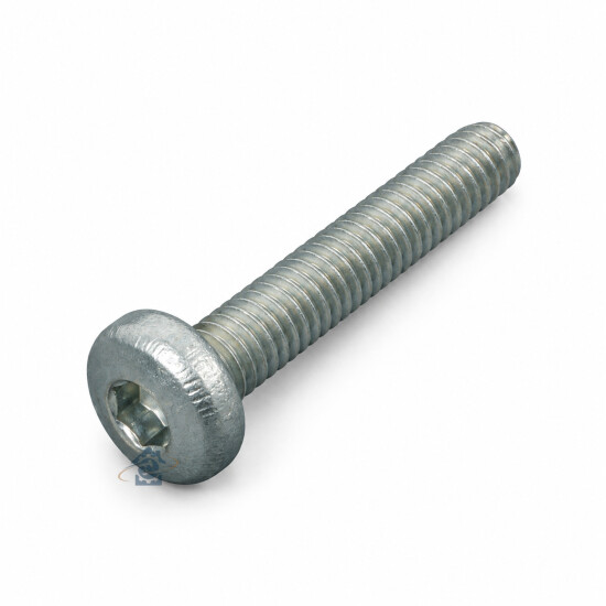 Vis torx M4x21 RS-DG0218