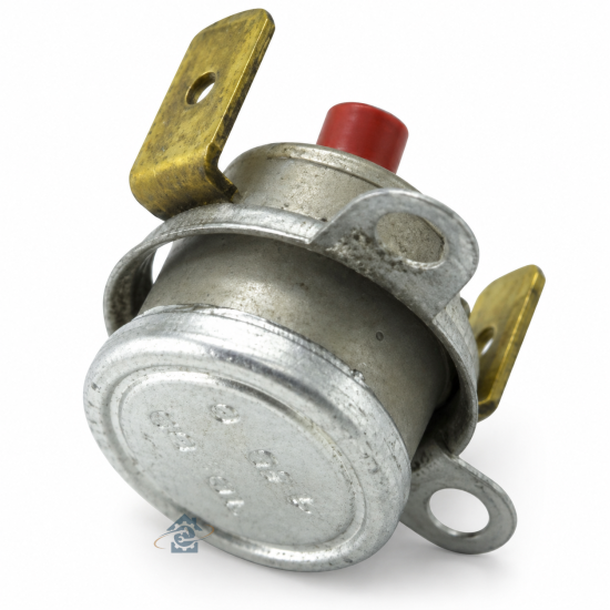Thermostat 24000651