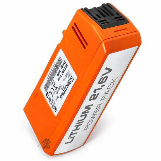 Batterie Lithium 21.6V d'origine 1924993429