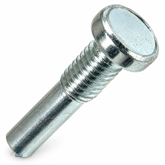 Axe de charniere d'origine 481953598188, C00311311