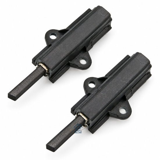 Charbon moteur (x2) C00196545