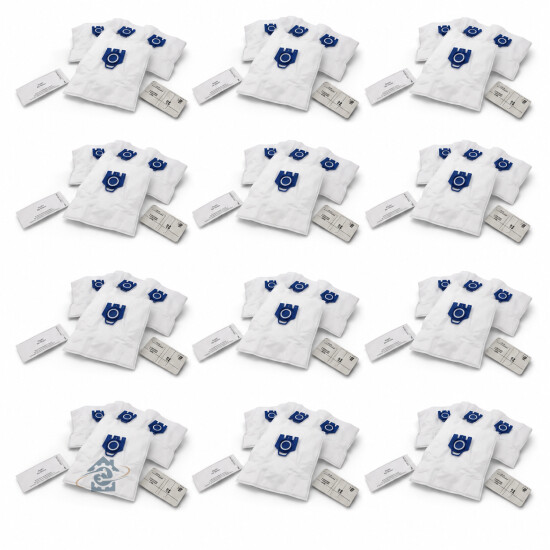 Lot de 12 sacs à poussière GN + 2 filtres pour aspirateur