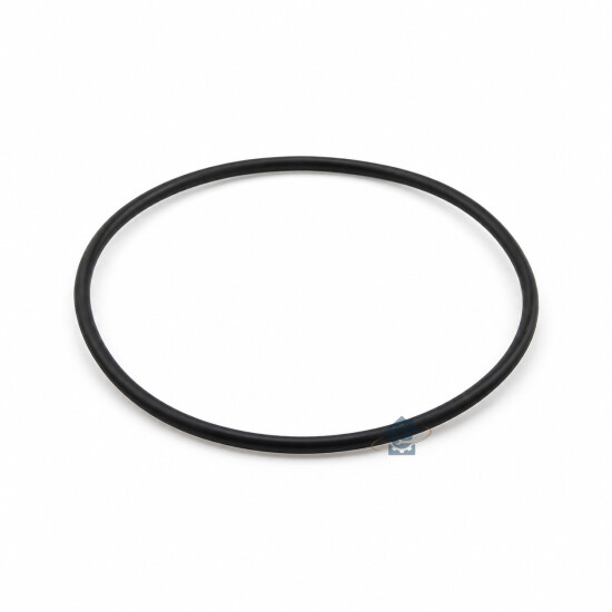 Joint o-ring