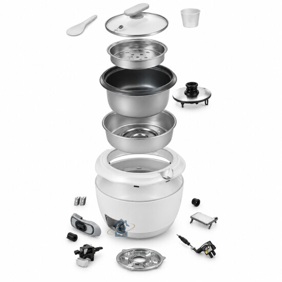 Rowenta Flexible complet gris SS-2230002880