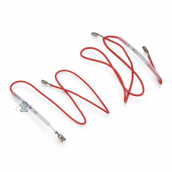 DeLonghi - Lot de 2 fusibles de sécurité - 5013256801 / 5013256811