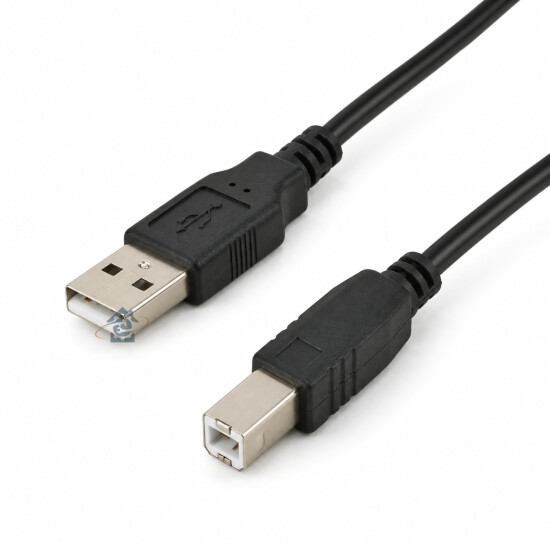 ITC ACCESSOIRES - Cordon USB 3 m - 2416