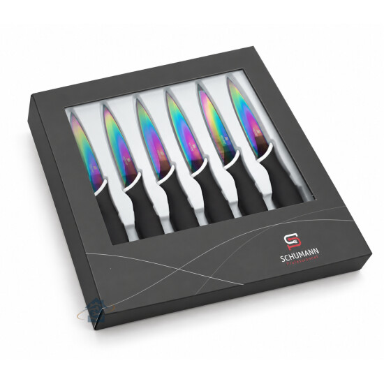 Coffret 6 couteaux steak lames Selection SDS SCO1500804
