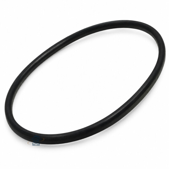 Joint torique de pompe de cyclage Ariston Hotpoint / Indesit / Scholtes - C00209734