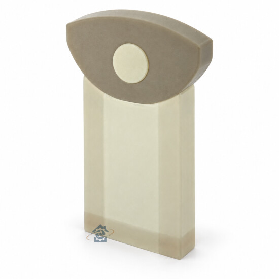 Boîte de 5 sacs papier pour aspirateur Philips, Dilem, Firstline, Team - 09200128