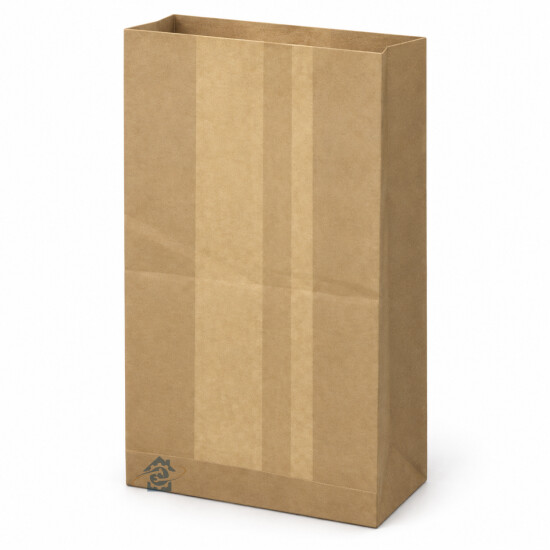 Boîte de 10 sacs papier pour aspirateur - Réf. 09200012