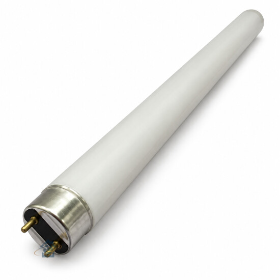 Tube néon Brandt / De Dietrich - 75X2605