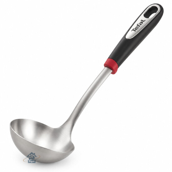 Louche Ingenio inox Tefal K1180214