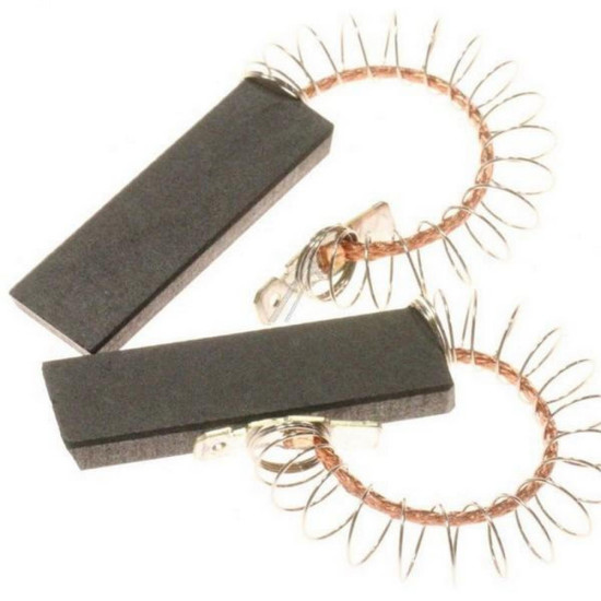 Lot de 2 charbons moteur 00616505