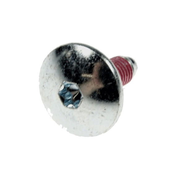 Vis de poulie d'origine 480111104699, C00309517