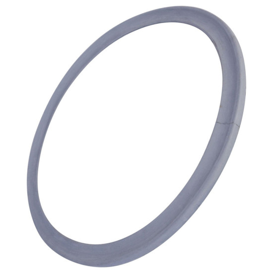 Joint de porte d'origine C00095978