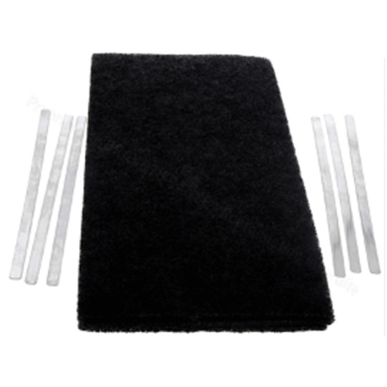 Filtre charbon AS0074335