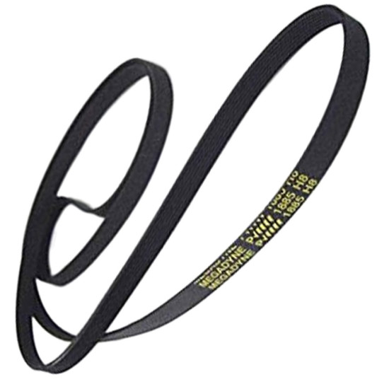 Courroie 1885h8 C00036195