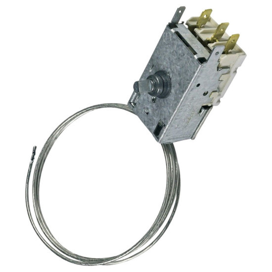 Thermostat 481228238181