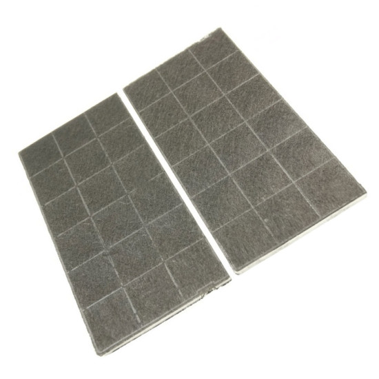 Lot de 2 filtres charbon 4055026050